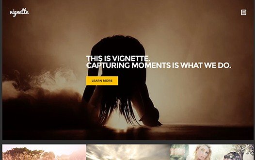 CSS Igniter Vignette WordPress Theme 1.7