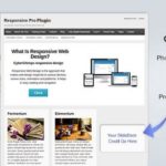 CyberChimps Responsive Pro WordPress Plugin 1.2