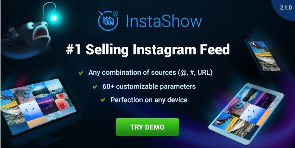Instagram Feed – WordPress Gallery for Instagram 3.6.3