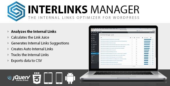 Interlinks Manager WordPress Plugin 1.21