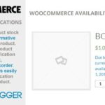 WooCommerce Availability Notifications 1.3.1