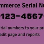 WooCommerce Serial Numbers WordPress Plugin 1.29