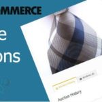 WooCommerce Simple Auctions – WordPress Auctions 1.2.25